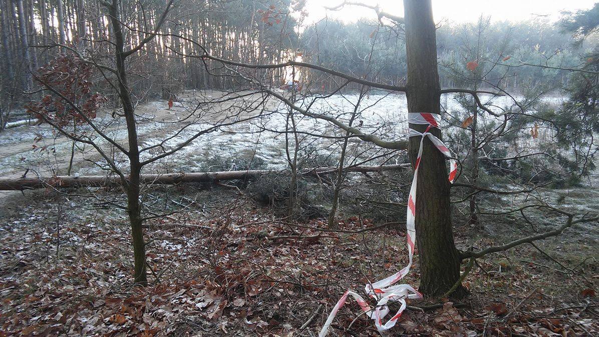 Gmina Gostynin rekultywowała tereny skażone w Lisicy i Leśniewicach Małych