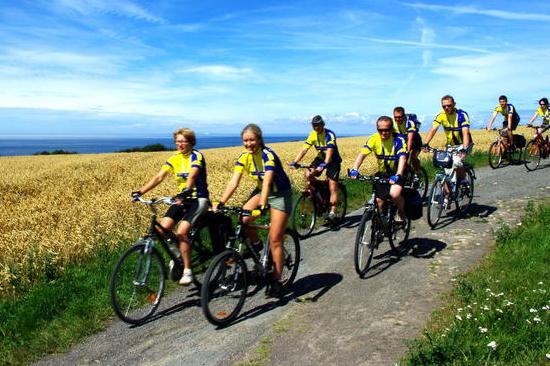 MOSiR zachęca do aktywnego spędzania wolnego czasu