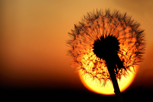Gmina Gostynin w obiektywie - rozstrzygnięcie konkursu fotograficznego