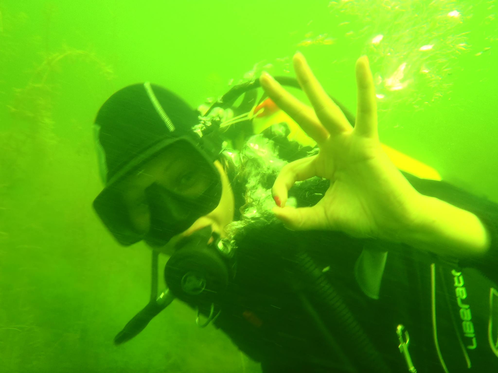 I LO PUL zaprasza na darmowy kurs nurkowania