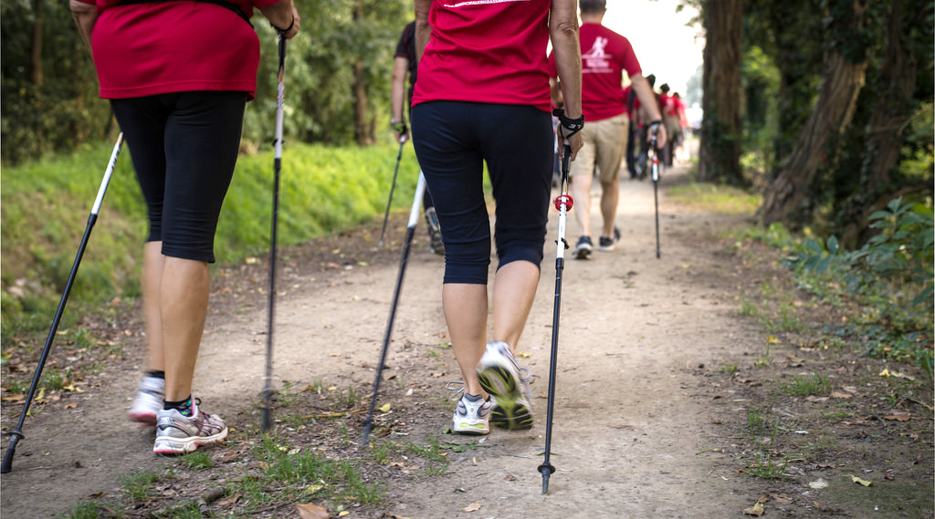 Rajd pieszy – Nordic Walking „Odkryj z nami urokliwe zakątki Soczewki”