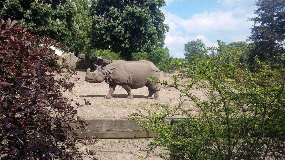 Gimnazjum nr 2 z Gostynina na Titanicu... i w Zoo