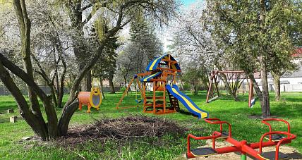 Obecność Sów Może Zablokować Budo...