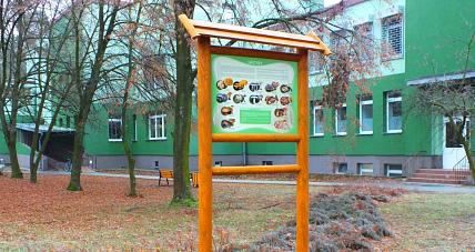 ścieżka Edukacyjno ? Przyrodnicza Pr...