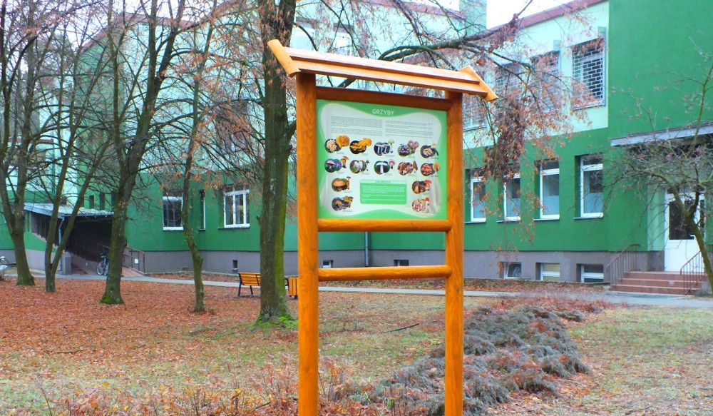 Ścieżka edukacyjno – przyrodnicza przy szpitalu w Zalesiu ukończona [ZDJĘCIA]