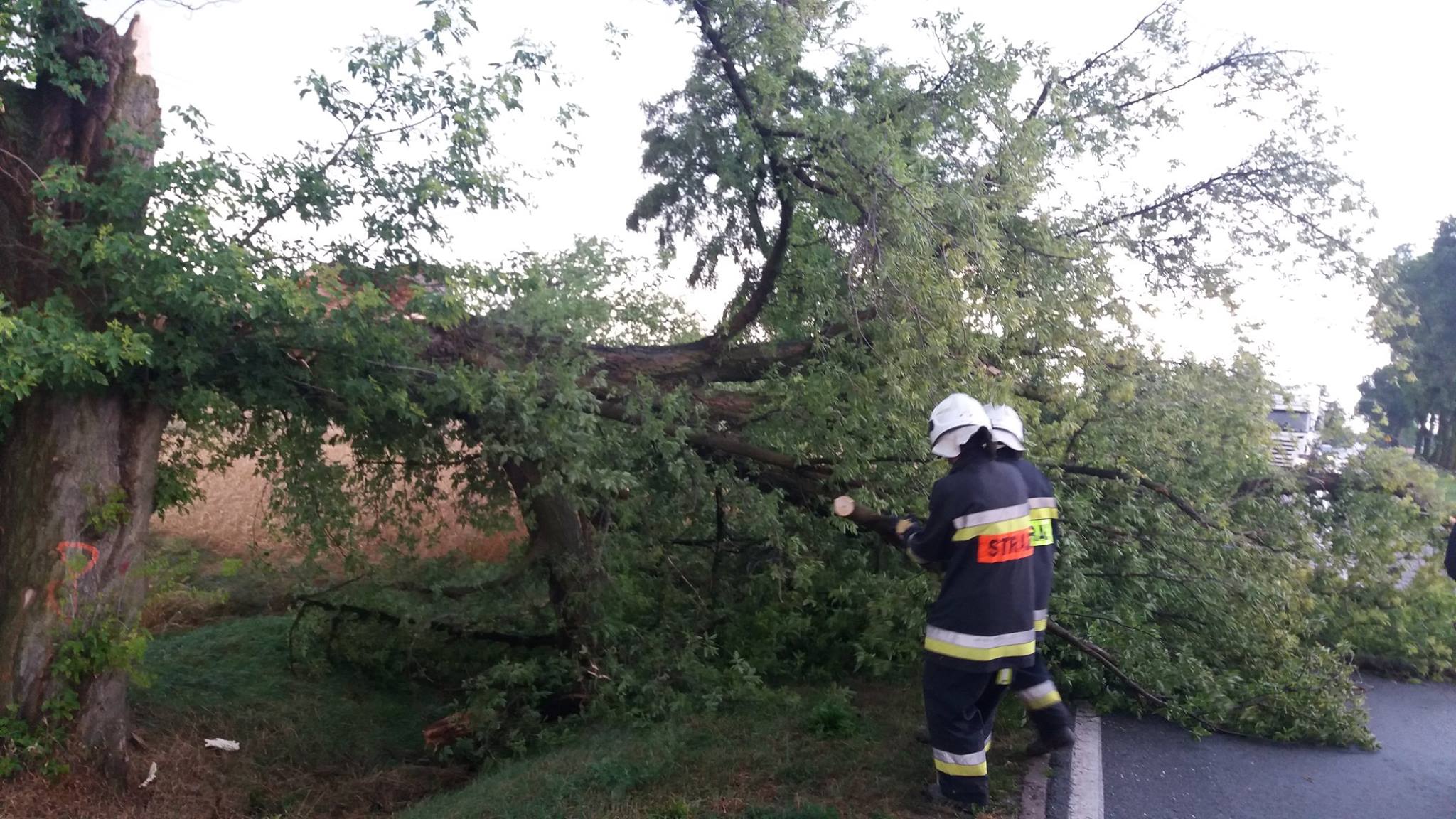 Pracowity poranek strażaków