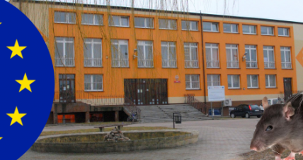 Od Szczurów W Sali Kinowej ...