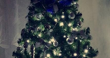 Rozstrzygnięcie Konkursu ...