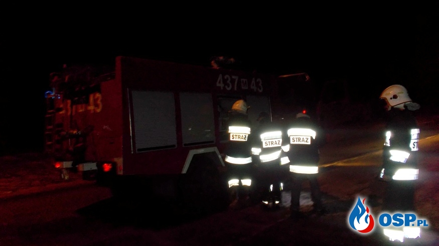 Trzygodzinna walka z pożarem szopy w miejscowości Reszki (gm. Szczawin Kościelny)