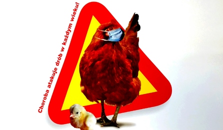 Ptasia grypa jednym z tematów posiedzenia Powiatowego Zespołu Zarządzania Kryzysowego