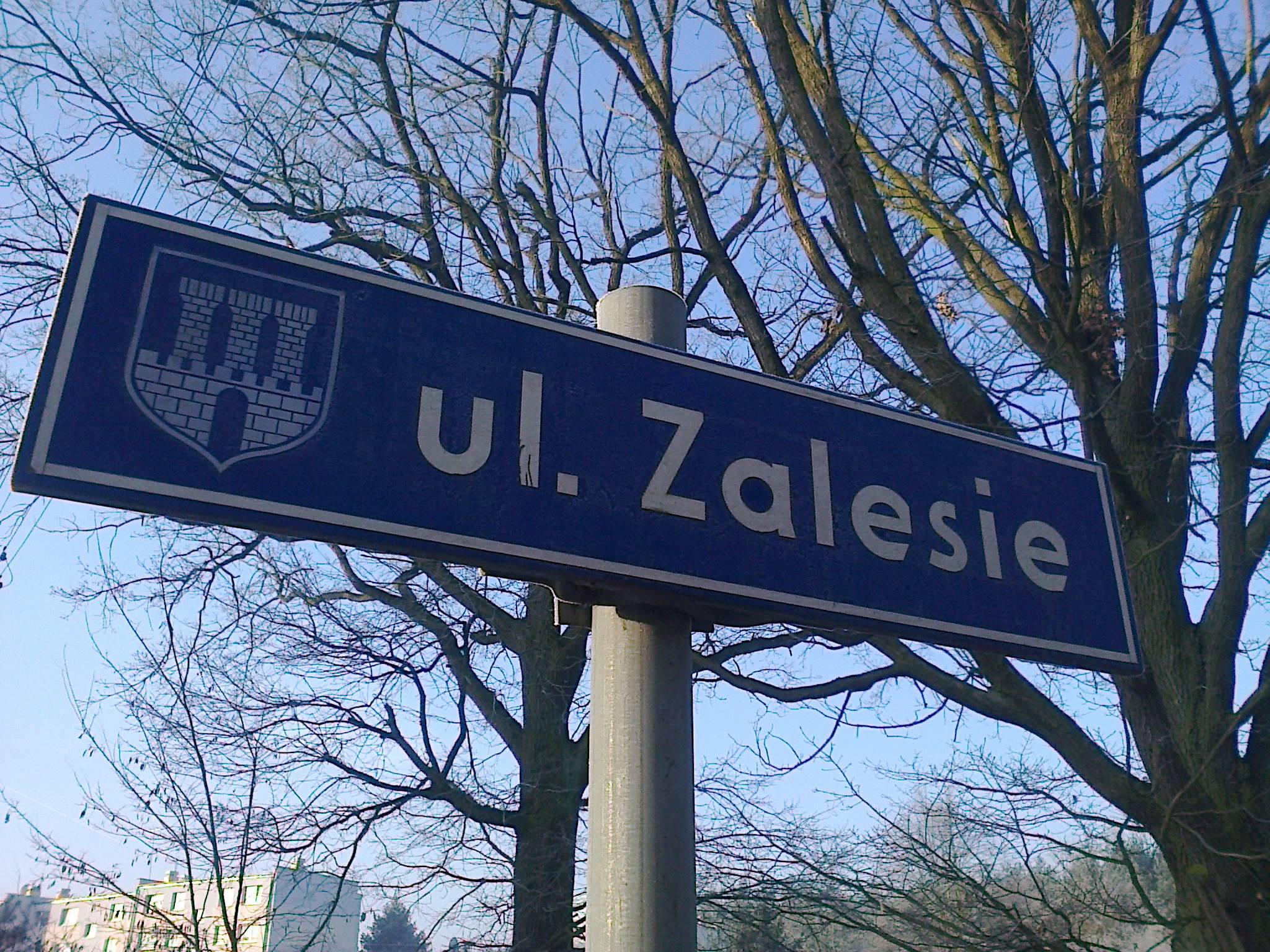Działania z budową placu zabaw na Zalesiu ruszają [ZDJĘCIA]