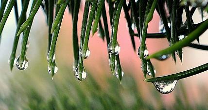 W Marcu Jak W Garncu. Prognoza...