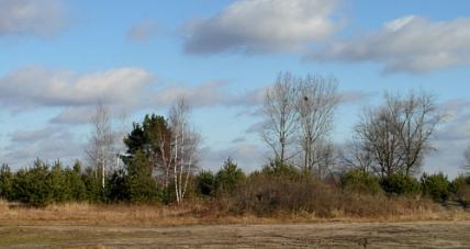 Niedziela Będzie Słoneczna I...