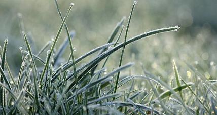 To Będzie Chłodny Dzień Ko...
