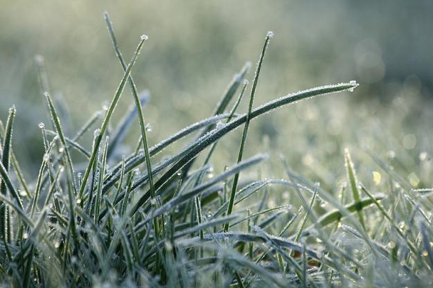 To będzie chłodny Dzień Kobiet. Prognoza pogody - 8 marca