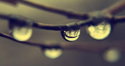 Nie Zapomnijmy O Parasolach...