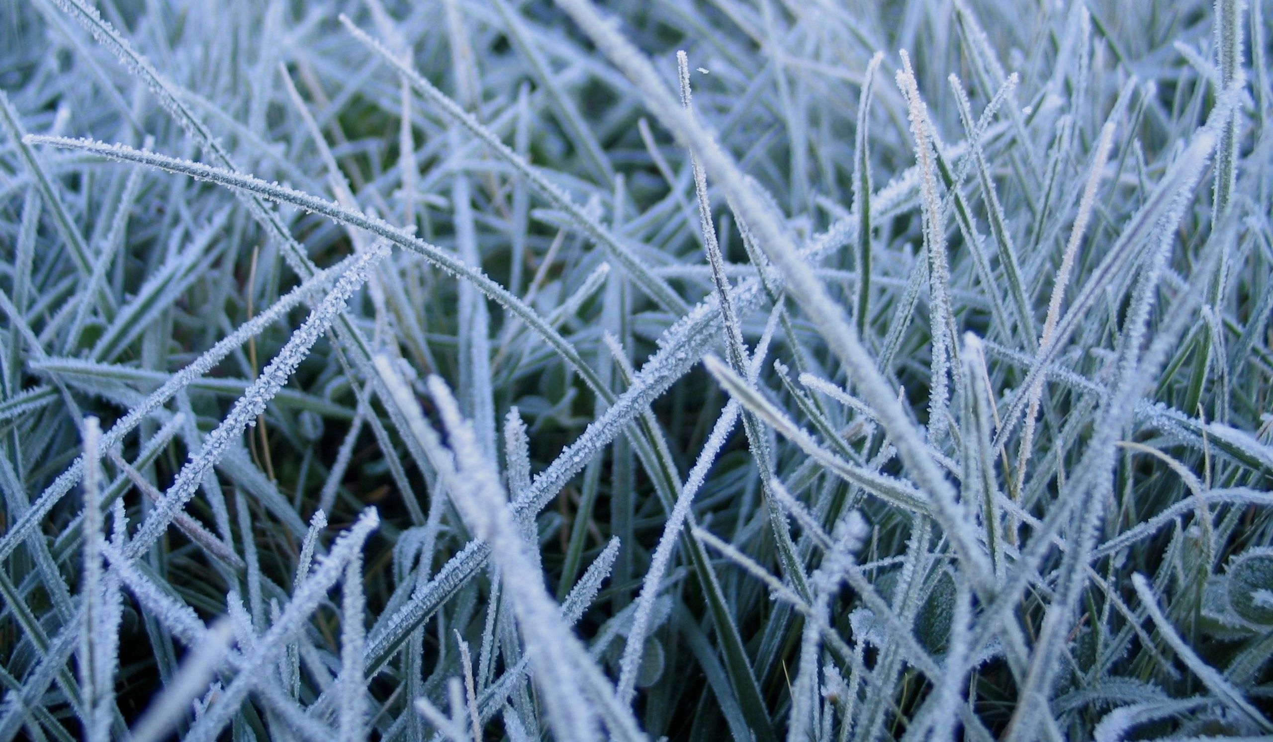 Poranek powita nas ujemną temperaturą – prognoza pogody – 13 marca