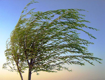 Wietrzny weekend. Prognoza pogody – 25 marca