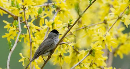 Pochmurno Z Przejaśnieniami. ...