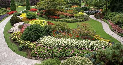 Konkurs Dla Miłośników Kw...