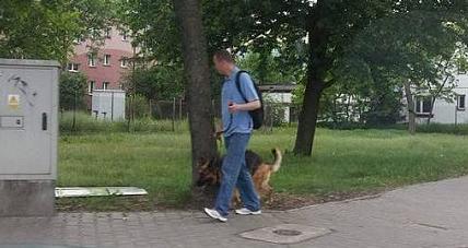 Sprzątam Po Swoim Psie. Apel ...