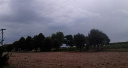 Pochmurno I Wietrznie. Prognoza...