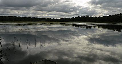 Pochmurny Dzień. Prognoza ...
