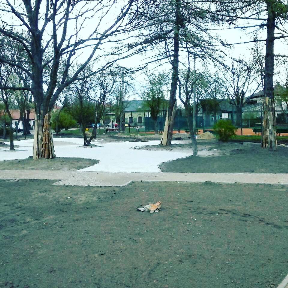 Plac zabaw za MCK nabiera kształtów [ZDJĘCIA]
