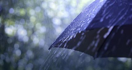 Słonecznie Ale Z Opadami. ...