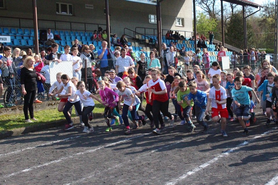 Już jutro biegi terenowe z okazji uchwalenia Konstytucji. Sprawdź program minutowy zawodów