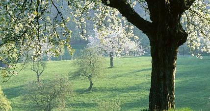 Wiosenna Sobota. Prognoza...