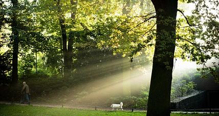 Przy Takiej Pogodzie Aż Się C...