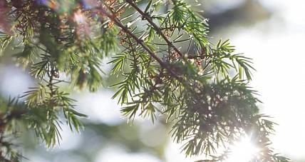 Prognoza Pogody - 31 Maja