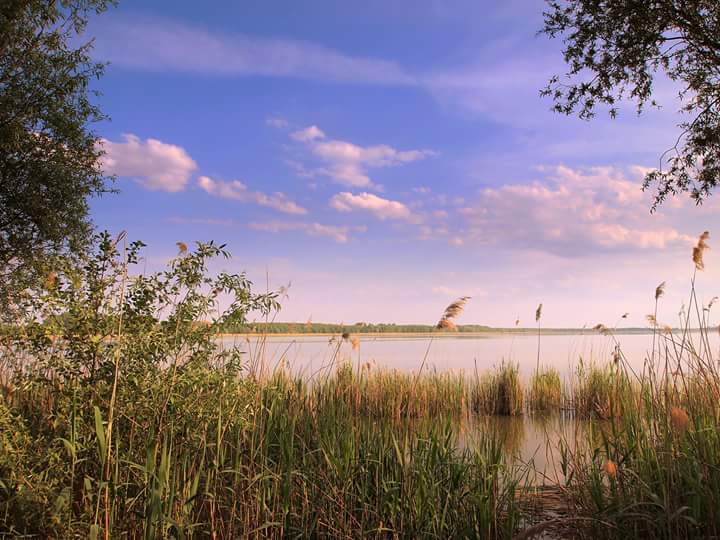 Prognoza pogody - 2 czerwca