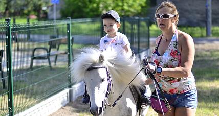 Jazda Kucykiem, Jumpin Frog...