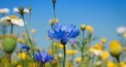 Prognoza Pogody - 8 Czerwca