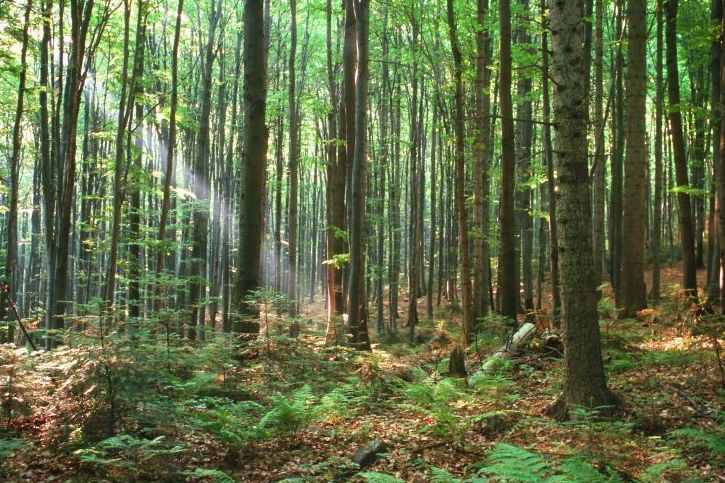 Prognoza pogody - 9 czerwca