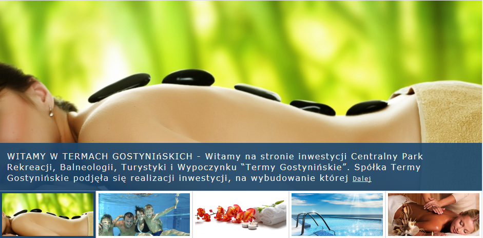 Zarzuty dla Zarządu spółki Termy Gostynińskie