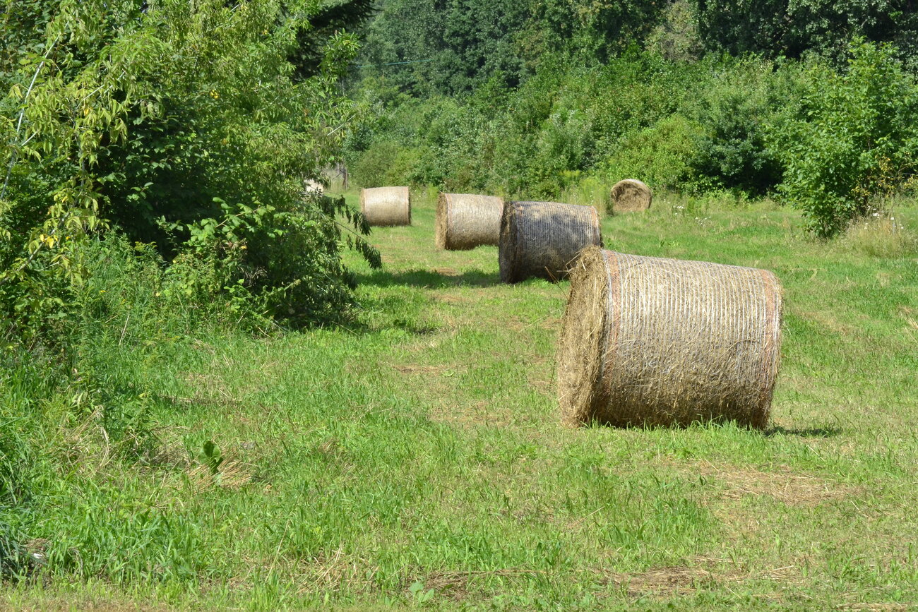 Prognoza pogody - 6 sierpnia