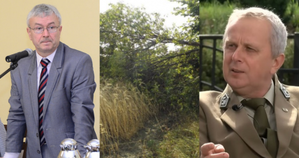 Wadliwe Prawo Czy Opieszałość Sł...