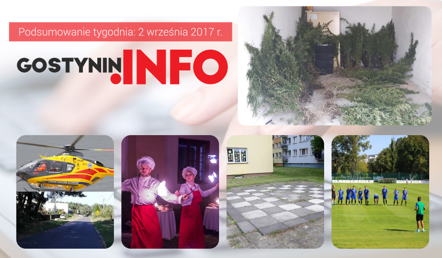 Podsumowanie tygodnia: nielegalne konopie w lasach, tajemnicze zdarzenie z Emilianowa oraz Art Energy