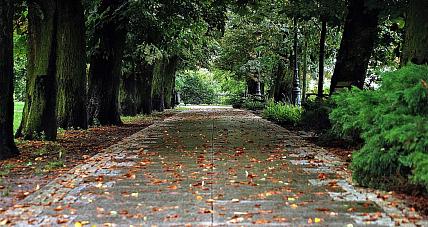 Prognoza Pogody - 8 Września