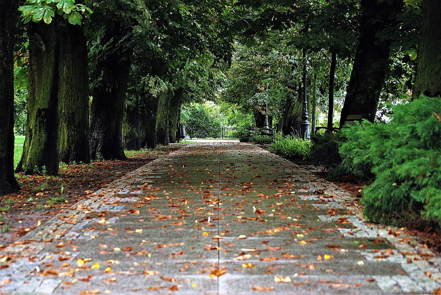 Prognoza pogody - 8 września