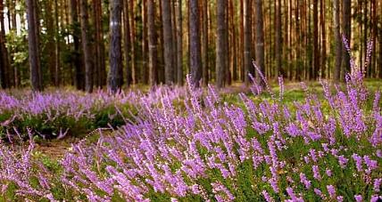 Prognoza Pogody - 13 Września