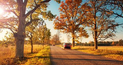 Prognoza Pogody - 19 Września
