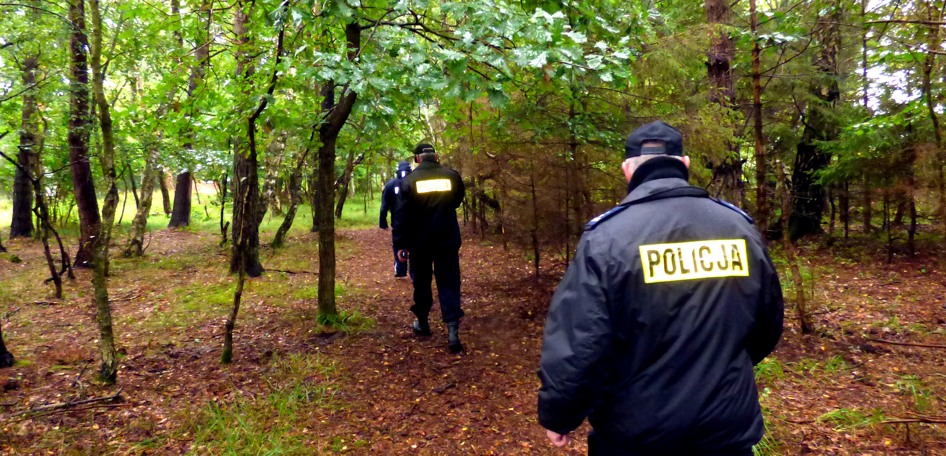 Poszły do lasu na grzyby i zgubiły drogę