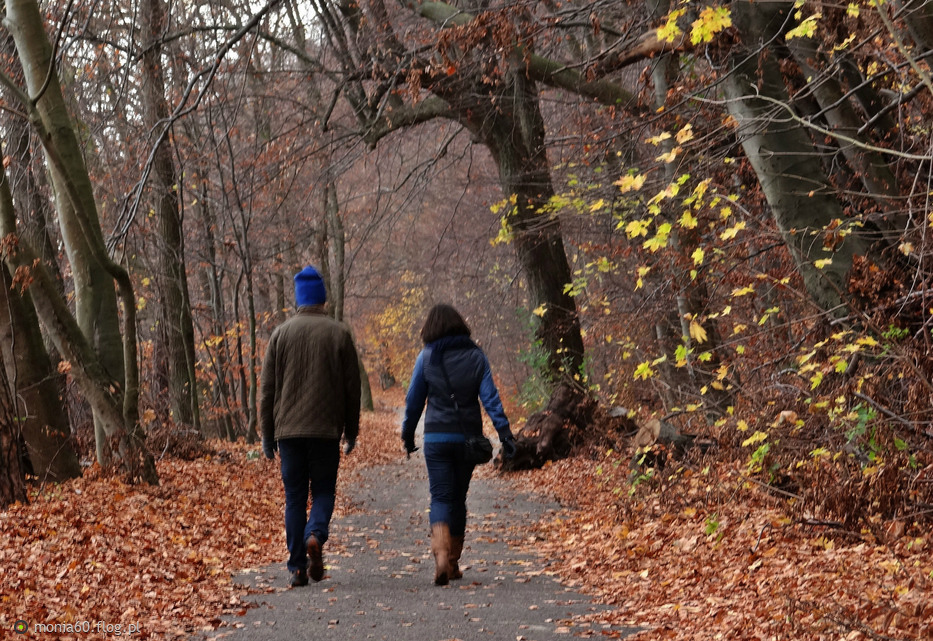 Prognoza pogody - 7 października