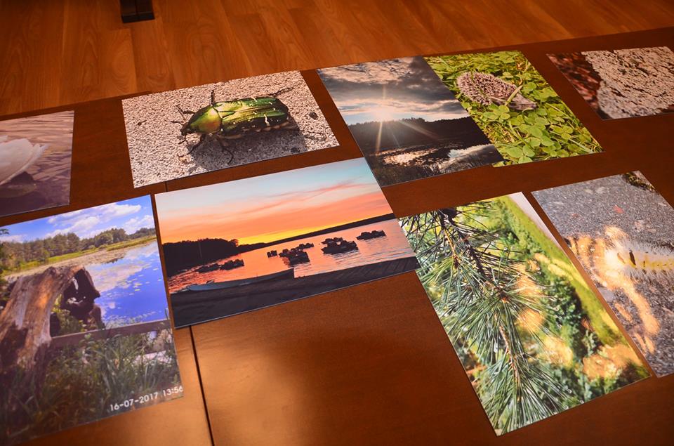 Znamy zwycięzców konkursu fotograficznego „Przyroda gostynińska  w obiektywie”