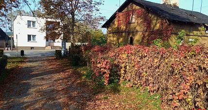 Prognoza Pogody - 19 Października