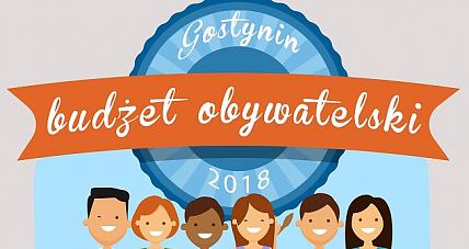 Decyduj O Inwestycjach W Gostyninie!...